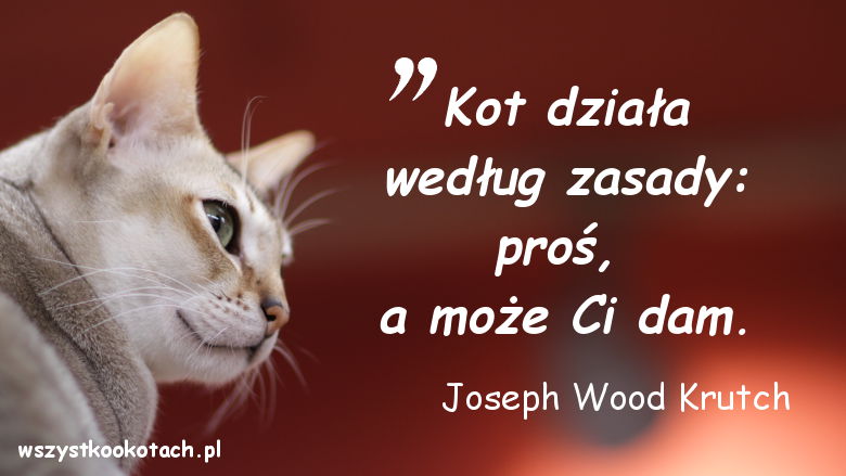 Cytaty o kotach - Joseph Wood-Krutch