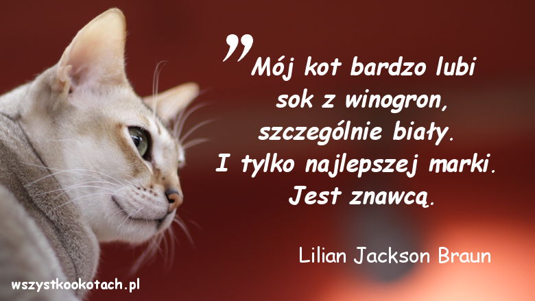 Cytaty o kotach – Lilian Jackson Braun