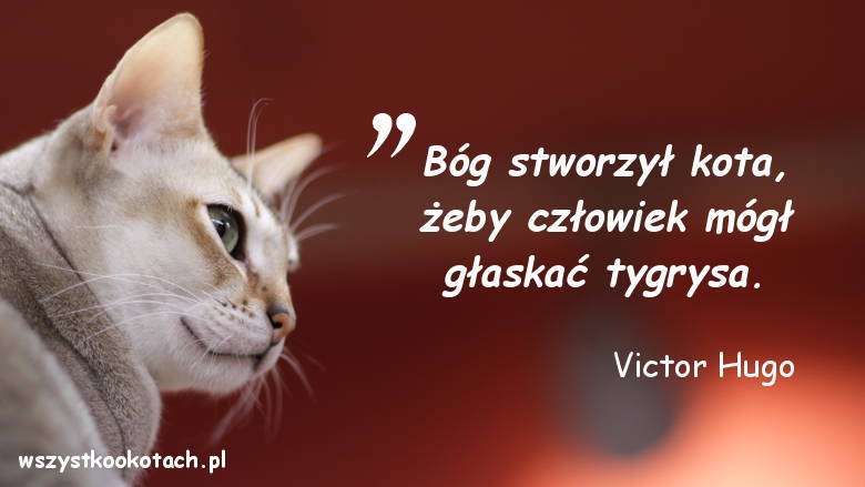 Cytaty o kotach - Victor Hugo
