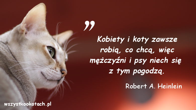 Cytaty o kotach - Robert A. Heinlein 2