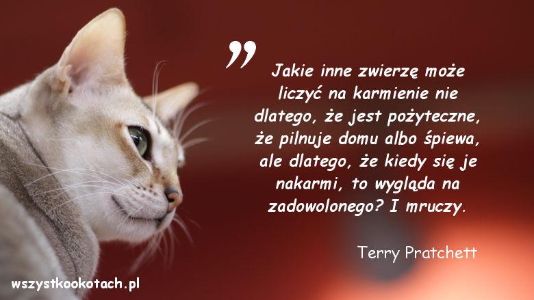 Cytaty o kotach - Terry Pratchett