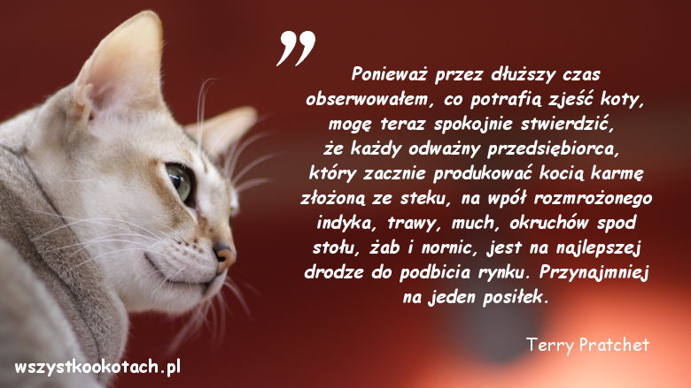 Cytaty o kotach – Terry Pratchet