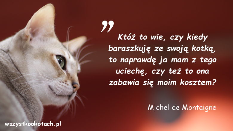 Cytaty o kotach - Michel de Montaigne