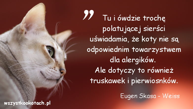 Cytaty o kotach - Eugen Skasa - Weiss