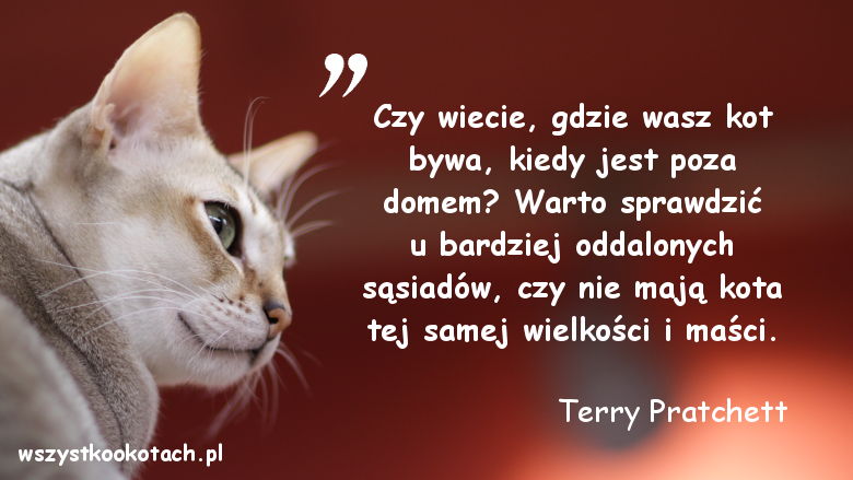 Cytaty o kotach – Terry Pratchett