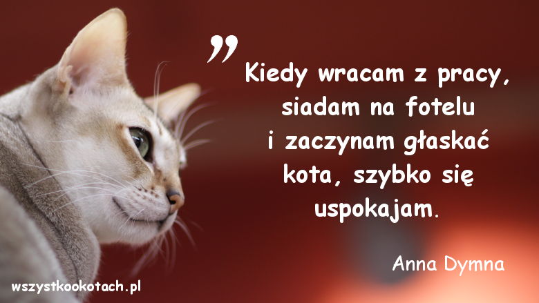 Cytaty o kotach - Anna Dymna