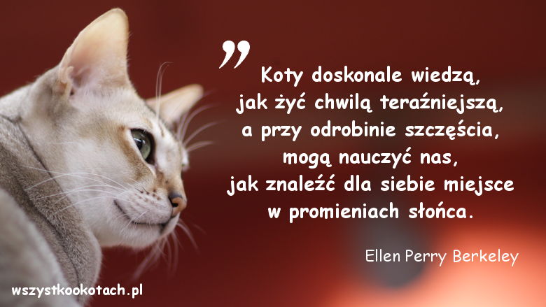 Cytaty o kotach - Ellen Perry Berkeley