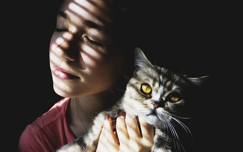 Dlaczego kochamy koty?