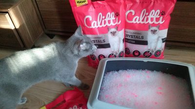 Silikonowy żwirek Calitti Crystals dla kotów