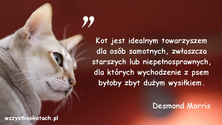 Cytaty o kotach - Desmond Morris